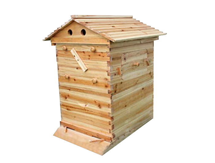 Beginner Beehive